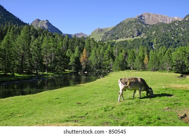 Catalan Pyrenees,Spain