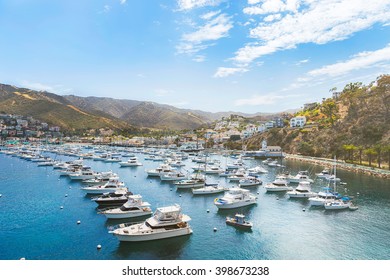 Catalina Island - Powered by Shutterstock