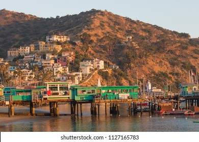 Catalina Island vacation resort, Avalon, California, green pleasure pier reflected in calm ocean, colorful houses perched on hillside, bell tower visible, blue sky