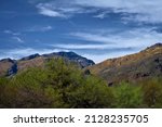 THE CATALINA MOUNTAINS WITH GReEN UNDERBRUSH AND A LIGHT BLUE SKY IN TUSCON ARIZONA