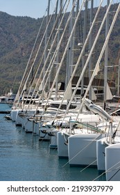 Catamaran Sailboat And Yachts In Marina