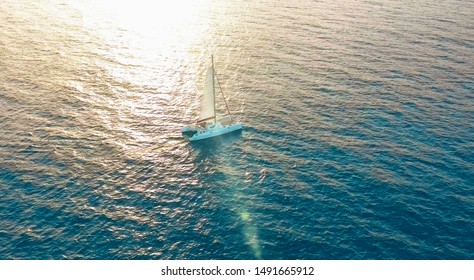Catamaran sailing on the sea. Aerial shoot of the Catamaran sailing in the wind.