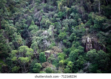 Cataract Gorge - Launceston, Tasmania, Australia - Shutterstock ID 712168234