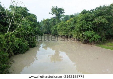 Catastrophic view of Amazonia forest trees and river with water contaminated with mercury from illegal gold mining in Amazon Rainforest, Brazil. Concept of deforestation,, environment, ecology, crisis
