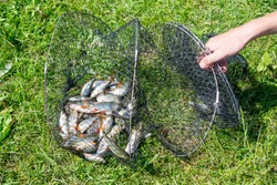 Catch Fish Net Basket Image & Photo (Free Trial)