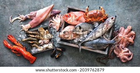 Catch of fresh fish and seafood with ice on store. Top view