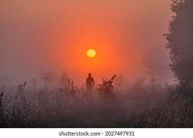 The Catcher Of The Fog