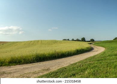  Catcher in the road