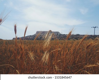  The Catcher in the Rye 