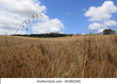 122 Catcher in the rye Images, Stock Photos & Vectors | Shutterstock