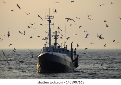 Catching Fish In The Baltic Sea.