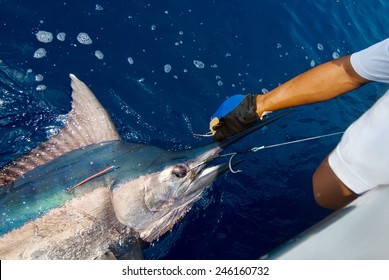 Catching Marlin Big Game Sport Fishing