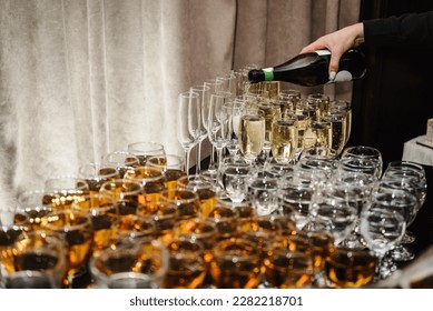 Catering service concept. Woman pours champagne into flute glasses. Champaign is being pored into glasses. The waiter pouring white sparkling wine. Bottle in a closeup view. Rows of full glasses.