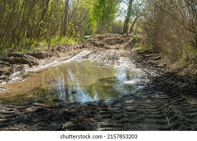 Caterpillar Tractor Tracks In The Mud. Large Dirty Puddle Filled The Hole After The Tractor. No Road. Ground Water.