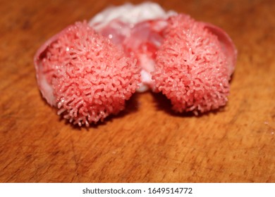 Catfish Gills On A Wooden Board. Offal Of Fish. Gills Close Up. Sea Sponge.