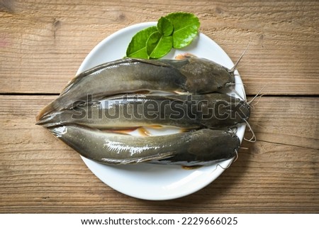 catfish on plate, fresh raw catfish freshwater fish, catfish for cooking food, fish with ingredients herb for hot and sour soup on wooden background - top view 
