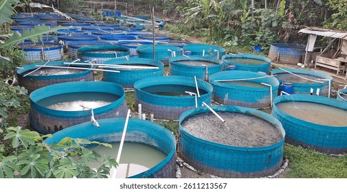 catfish pond using biofloc system. Raising and cultivating fish by using fish ponds made of round or circular tarpaulins that can maximize fish production with a narrow and limited production