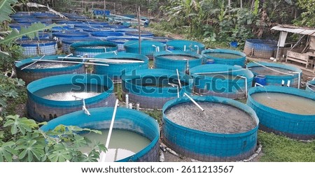 catfish pond using biofloc system. Raising and cultivating fish by using fish ponds made of round or circular tarpaulins that can maximize fish production with a narrow and limited production
