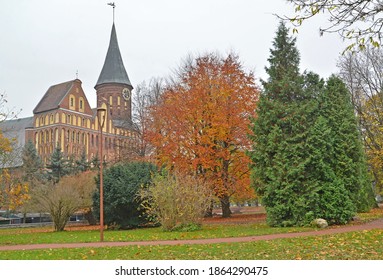 Königsberg Cathedral In The Autumn Park. Kant Island. Kaliningrad