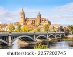Cathedral with bridge over Tormes river, Salamanca, Castile and Leon, Spain