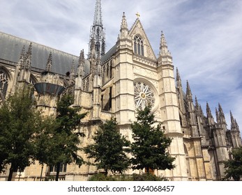 Orléans Cathedral France Trees