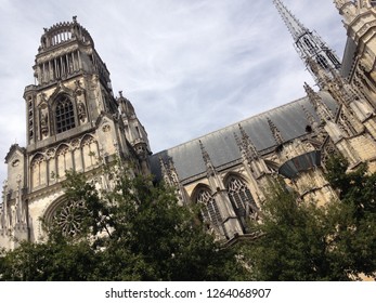 Orléans Cathedral France Trees