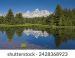 The cathedral group of mount teewinot, mount owen and grand teton reflected in the beaver pond, schwabacher
