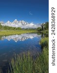 The cathedral group of mount teewinot, mount owen and grand teton reflected in the snake river, schwabacher