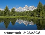 The cathedral group of mount teewinot, mount owen and grand teton reflected in the beaver pond, schwabacher