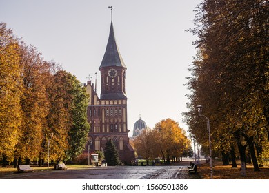 Cathedral In Kaliningrad, The Tomb Of Imanuel Kant, Autumn View