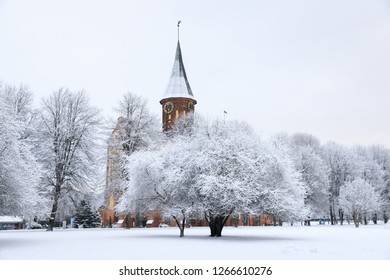 The Cathedral Of Kaliningrad In Winter