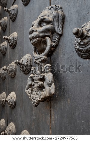 The Cathedral of Lima features a masterful display of colonial craftsmanship, particularly in the intricate metalwork of its massive wooden doors. These ornate bronze knockers and decorative studs (clous) are characteristic of the Spanish Baroque style.