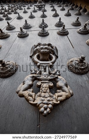 The Cathedral of Lima features a masterful display of colonial craftsmanship, particularly in the intricate metalwork of its massive wooden doors. These ornate bronze knockers and decorative studs (clous) are characteristic of the Spanish Baroque style.