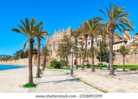 Cathedral of Mallorca and park with palm trees . Parc de la Mar in Palma de Mallorca
