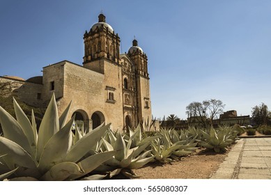 Cathedral of Santo domingo in Oaxaca, agaves foreground, church over sky blue background
