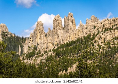 Cathedral Spires along the Needles highway in the Black Hills mountains within Custer State Park, South Dakota. The Needles are a region of eroded granite pillars, towers, and spires.