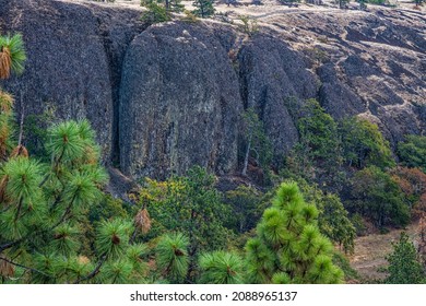 Catherine Creek Recreation Area, Columbia River Gorge