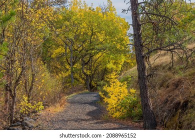 Catherine Creek Recreation Area, Columbia River Gorge