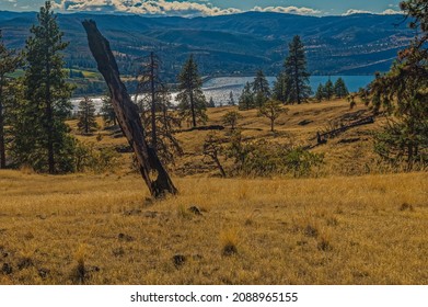 Catherine Creek Recreation Area, Columbia River Gorge