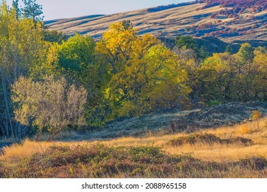 Catherine Creek Recreation Area, Columbia River Gorge