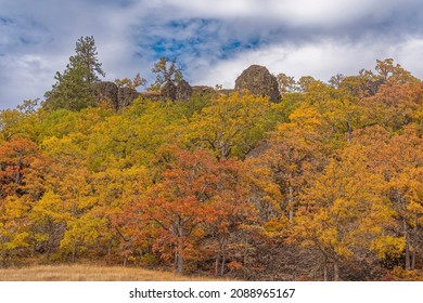 Catherine Creek Recreation Area, Columbia River Gorge