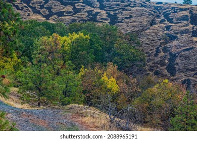 Catherine Creek Recreation Area, Columbia River Gorge