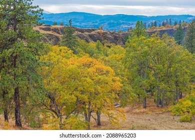 Catherine Creek Recreation Area, Columbia River Gorge