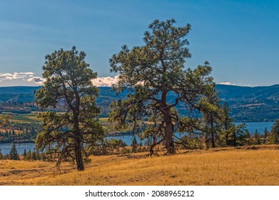 Catherine Creek Recreation Area, Columbia River Gorge