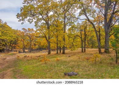 Catherine Creek Recreation Area, Columbia River Gorge