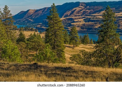 Catherine Creek Recreation Area, Columbia River Gorge