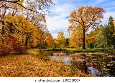 Catherine park landscape in autumn, Pushkin, Saint Petersburg, Russia