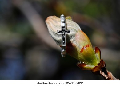 Catholic Rosary Ring Around A Chestnut Bud In Spring.