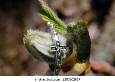 Catholic Rosary Ring Around A Chestnut Bud In Spring. Religious Symbol.