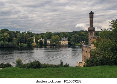 catle on a river